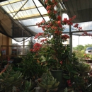 Nebraska Nursery & Color Gardens - Nurseries-Plants & Trees