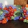 BalloonistaKC gallery