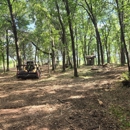 TK Land Management - Tree Service