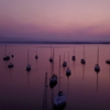 Bridgeview Harbour Marina gallery