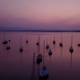 Bridgeview Harbour Marina