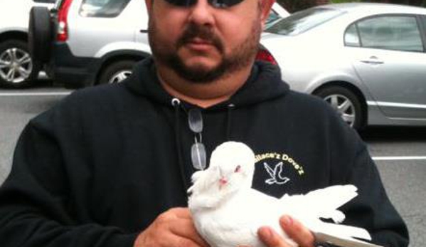 White Dove Release - Charlotte, NC