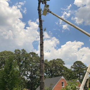 Century Tree and Mulching Service - Leesburg, GA