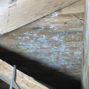 Dr. Mold - Mold Remediation