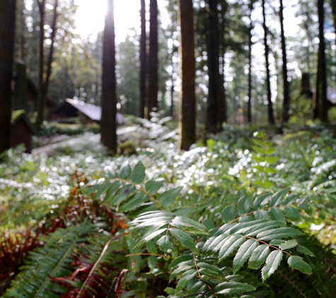 Loloma Lodge - Mckenzie Bridge, OR