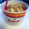 Froyoz gallery