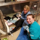 Raynham Veterinary Hospital, Inc. - Hostels