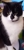 The Vet Lounge - Veterinary Surgeons