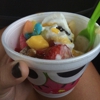 sweetFrog gallery