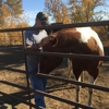 Ehrhardt Custom Livestock Care gallery