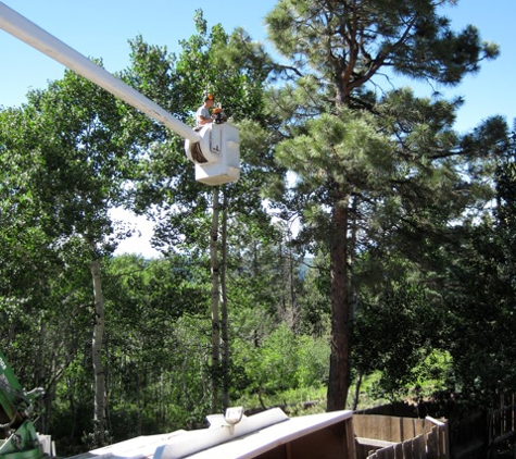 Woodchuck Tree Service, LLC - Durango, CO