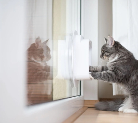 Geelong Cat & Dog Doors - Rippleside, VIC