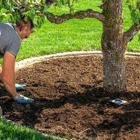 Foran Lawn & Yard