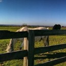 Worcester Stables - Stables