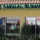 El Cid Animal Clinic