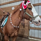 Wilsonville Equestrian Center