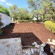 Food Forest Abundance