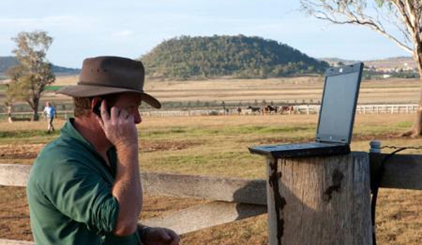 Allora Veterinary Clinic - Allora, QLD