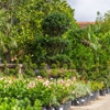 Moon Valley Nurseries gallery