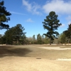 Palmetto Golf Club gallery