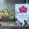 Silver Vase Orchids gallery