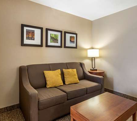 Comfort Suites Coralville I-80 - Coralville, IA