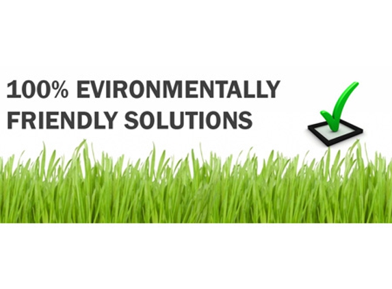 Affordable Pest Control - Nowra, NSW