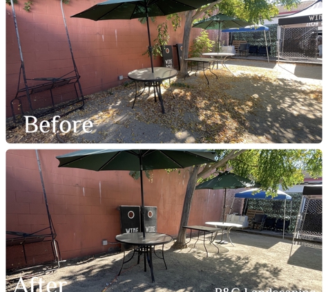 RG Landscaping & Services - San Miguel, CA. Yard cleanup