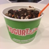 Yogurt Zone gallery