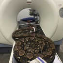ACCESS Specialty Animal Hospitals - Los Angeles - Veterinarians