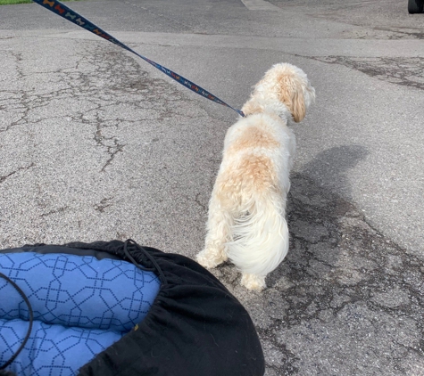 Amherst Boarding Kennel - East Amherst, NY