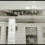 Chisholm Trail Veterinary Clinic of Lockhart