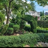 The Lawn Man gallery