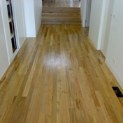 Gallery Image Number 3