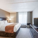 Comfort Suites Austin Airport - Motels