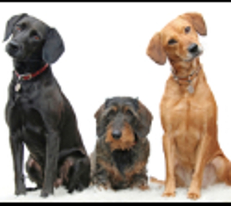 Poop Scoopers Pet Waste Removal - Delray Beach, FL