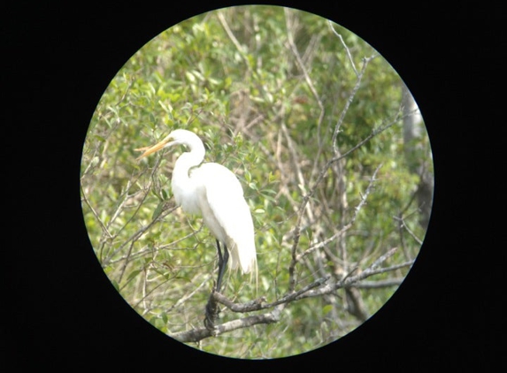 Six Mile Cypress Slough Preserve - Fort Myers, FL