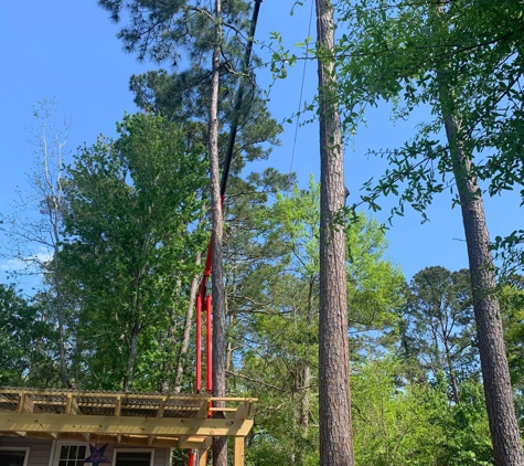 A Cut Above Tree Experts - Wilmington, NC