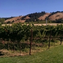 Navarro Vineyards & Winery - Wine