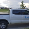 Avast Pest Control gallery