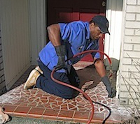 Best Termite & Pest Control Inc. - Tampa, FL