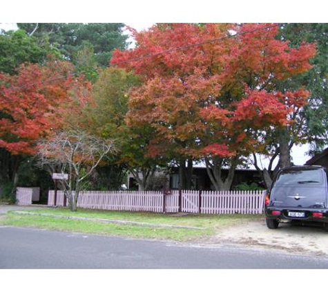 Palane Kennels - Hazelbrook, NSW