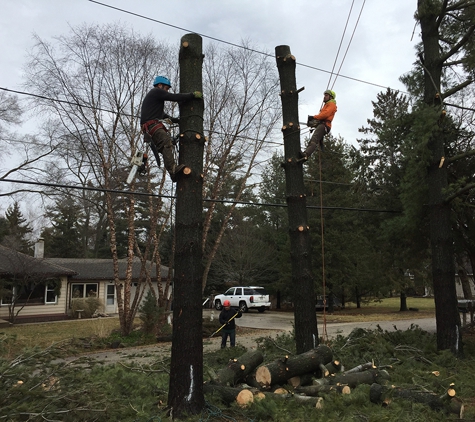 Broadleaf Tree Care - Glenview, IL