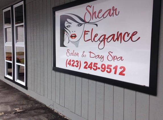 Shear Elegance Salon And Day Spa - Kingsport, TN