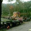 Shady Hill Greenhouses & Nursery - Garden Centers