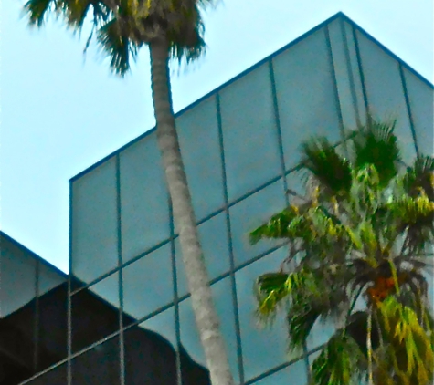 Law Offices of William E. Maguire - Santa Monica, CA