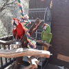 The Tree of Life Rescue Sanctuary gallery