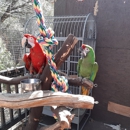 The Tree of Life Rescue Sanctuary - Rescue Services
