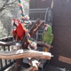 The Tree of Life Rescue Sanctuary