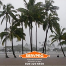 SERVPRO of Hawaii | SERVPRO of Maui - Water Damage Restoration